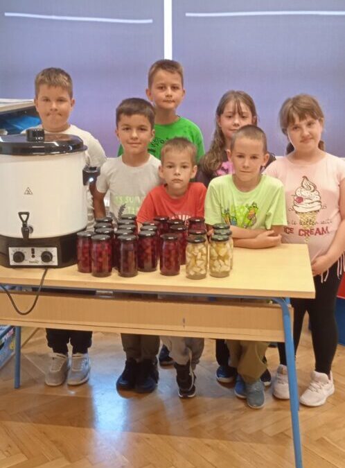 Kompot od višanja