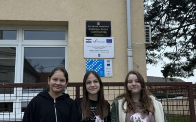 Millennial Competition