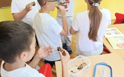Obilježen Međunarodni dan svjesnosti o gubitku i bacanju hrane